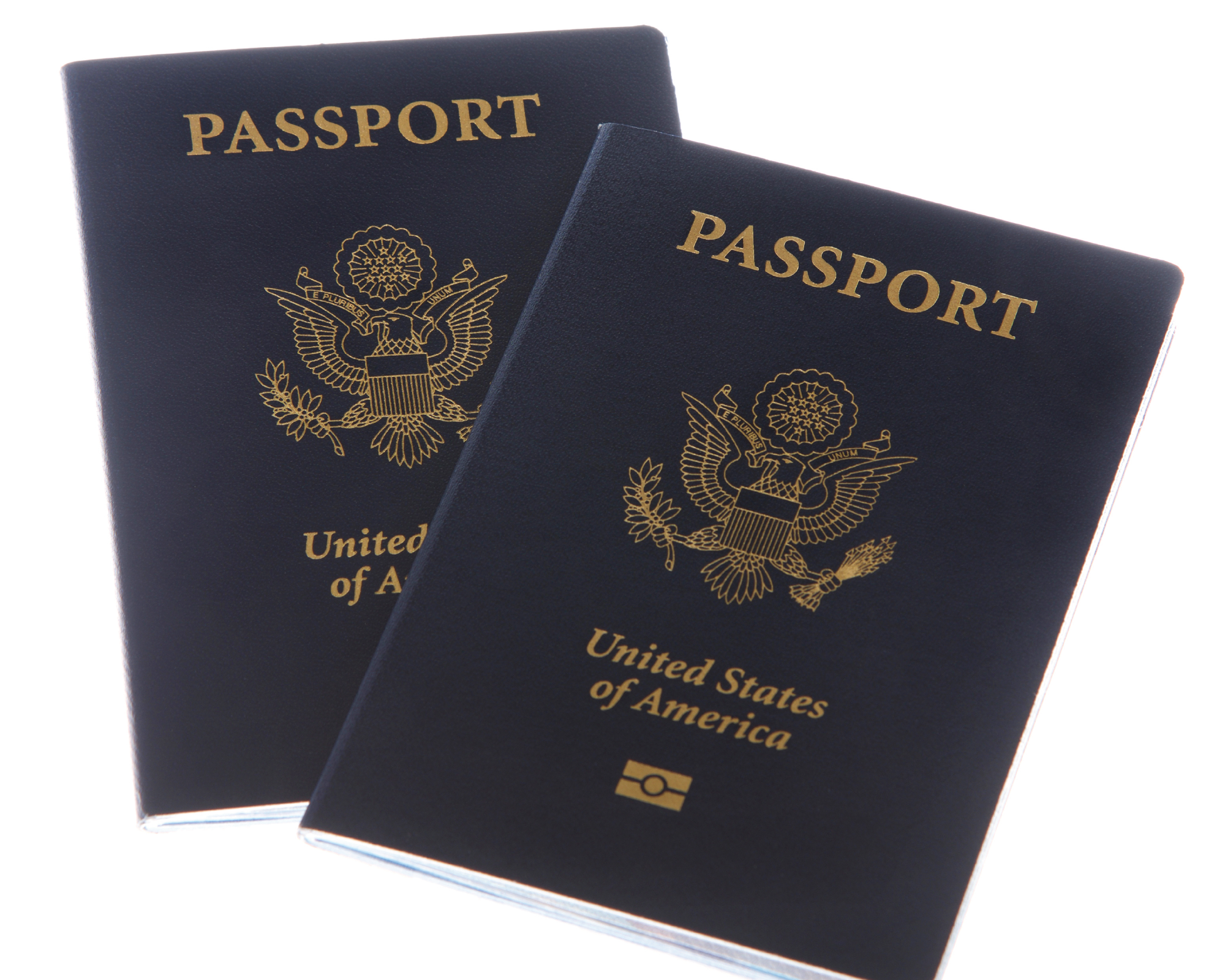 vip passport services inc