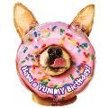 Happy Birthday dog-donut Bin #26