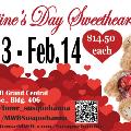 ValentinesSweetheartSale2024