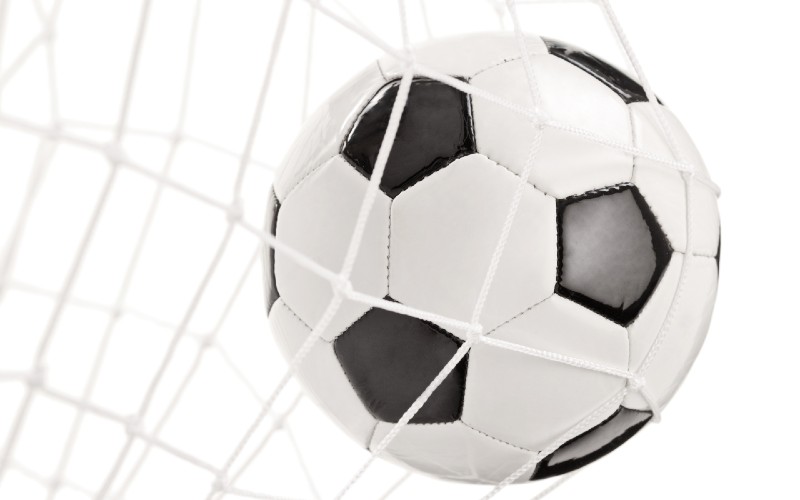 soccer ball &amp; net_800x500